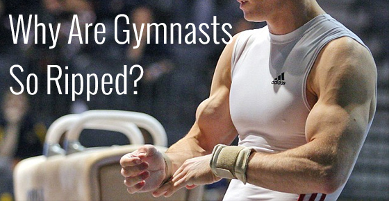 SEARCH AND BUY THIS PRODUCT Why Are Gymnasts So Ripped? - JMax Fitness