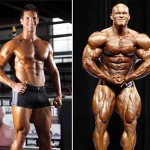 top 40 fitness professionals