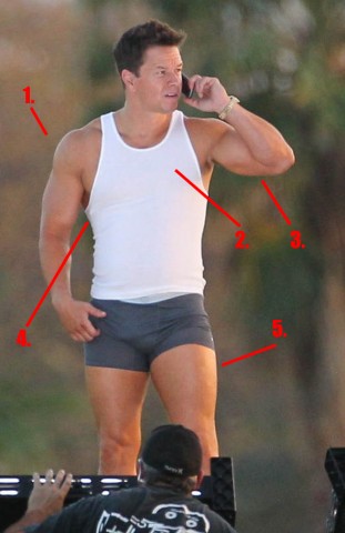 mark-wahlberg-pain-and-gain-311x480.jpg