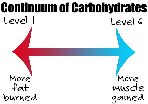 continuum of carbohydrates