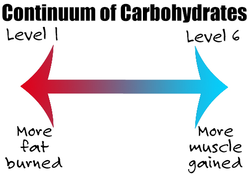 continuum of carbohydrates