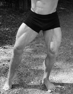 how-to-get-big-legs