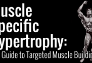 targeted muscle building