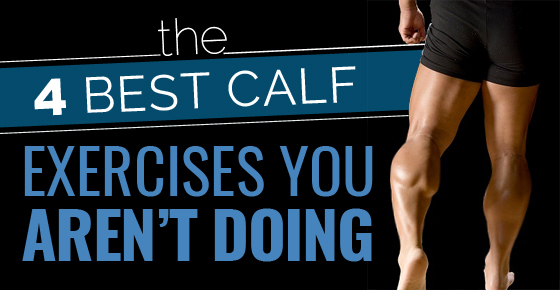 Best Calf Exercises Top Sellers, 55% OFF
