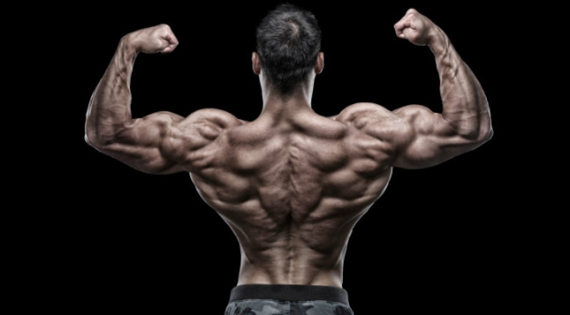 Bro-Science: Going Against Science To Build Muscle - JMax Fitness