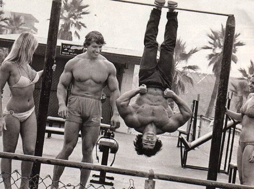 The most popular bodybuilders in the 1960's and 1970's in Venice Beach trained each body part more than once per week.