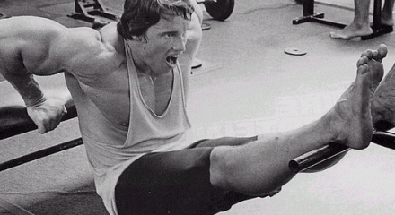 building muscle with bodyweight exercises arnold bench dips