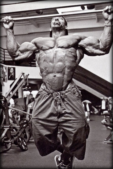 targeted muscle building abs pullups