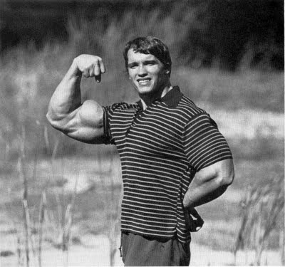 targeted muscle building arnold biceps peak