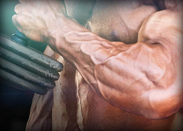 targeted muscle building forearms
