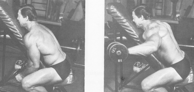 targeted muscle building larry scott lateral raise