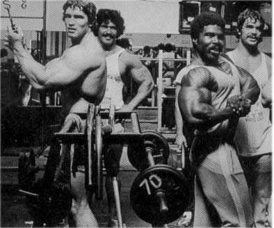 targeted muscle building robby robinson and arnold