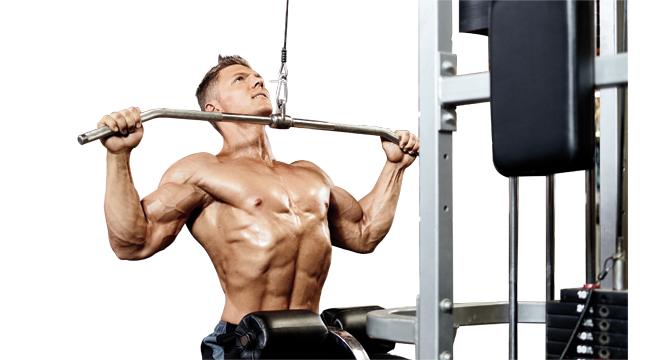 targeted muscle building training muscle fibers