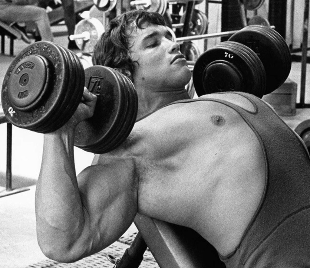 muscle growth