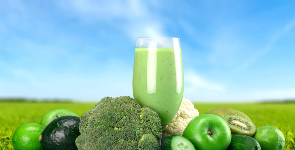 low carb diets