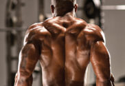 the 5 best back building exercises