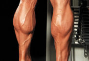 the skinny guy's guide to bigger calves calf raise